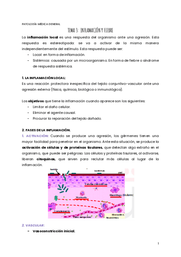 Miniatura del documento TEMA-3-PMG.pdf