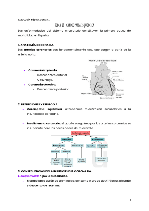 Miniatura del documento TEMA-11-PMG.pdf