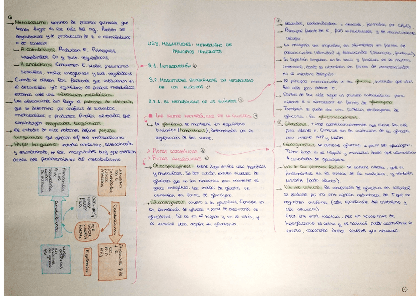 Miniatura del documento Tema-3-bioquimica.pdf