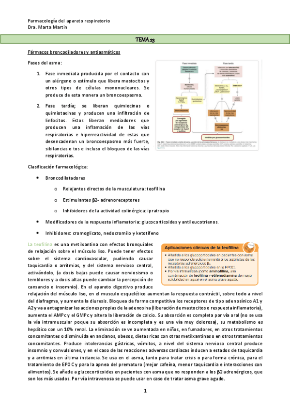 Miniatura del documento TEMA-23.pdf
