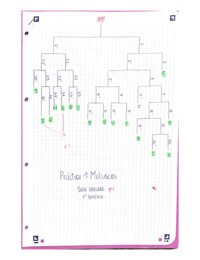 Miniatura del documento Cuaderno-Zoologia.pdf