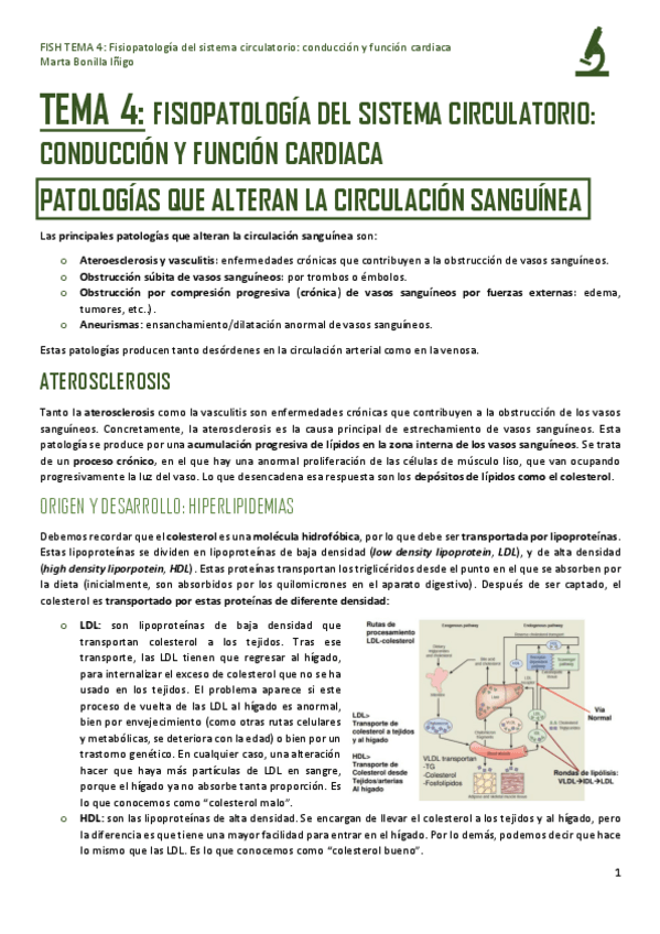Miniatura del documento FISH-TEMA-4-FISIOPATOLOGIA-DEL-SISTEMA-CARDIOVASCULAR.pdf