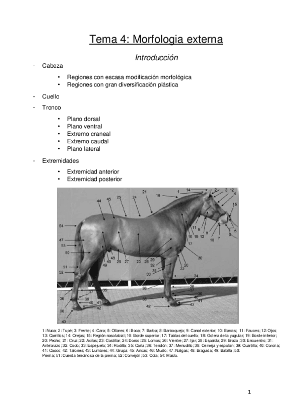 Miniatura del documento tema 4 bienestar.pdf