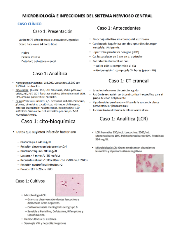 Miniatura del documento MICROBIOLOGIA-E-INFECCIONES-DEL-SISTEMA-NERVIOSO-CENTRAL.pdf
