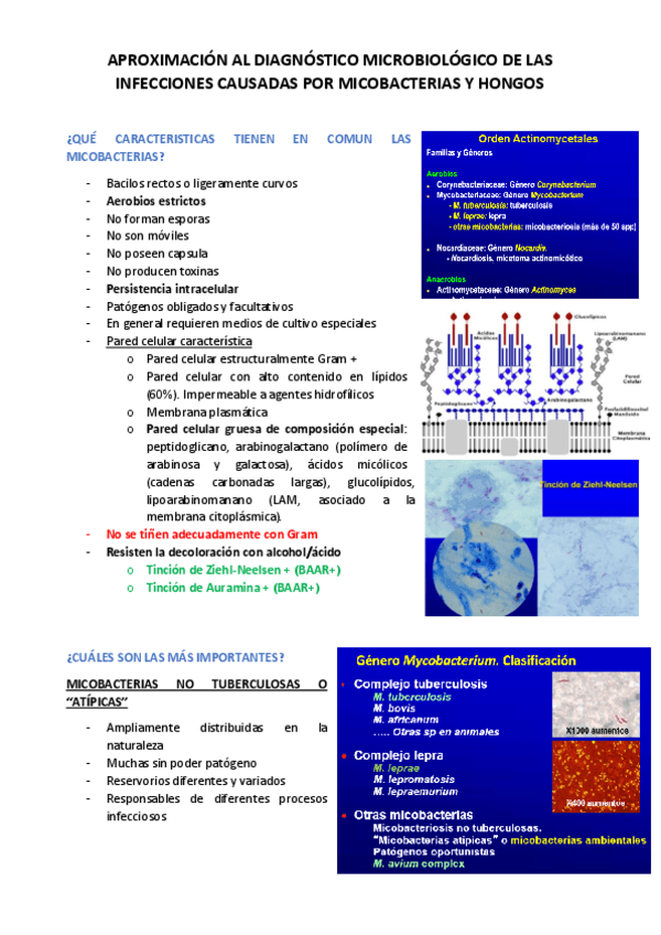 Miniatura del documento MICOBACTERIAS-Y-HONGOS.pdf