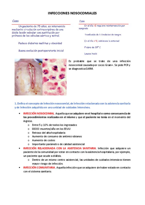 Miniatura del documento INFECCIONES-NOSOCOMIALES.pdf