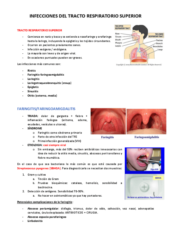 Miniatura del documento INFECCIONES-DEL-TRACTO-RESPIRATORIO-SUPERIOR.pdf