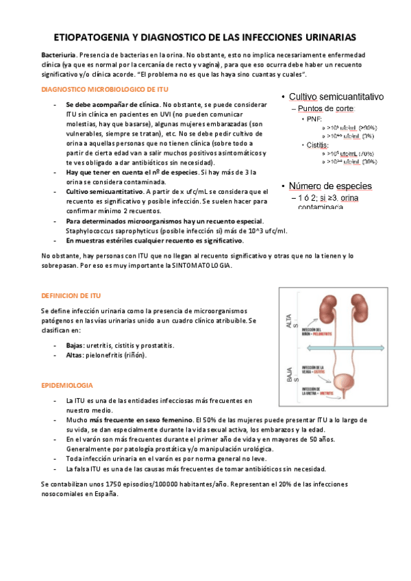 Miniatura del documento Concepto-de-ITU.pdf