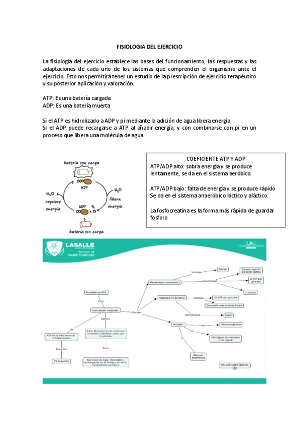 Miniatura del documento FISIOLOGIA-DEL-EJERCICIO.pdf