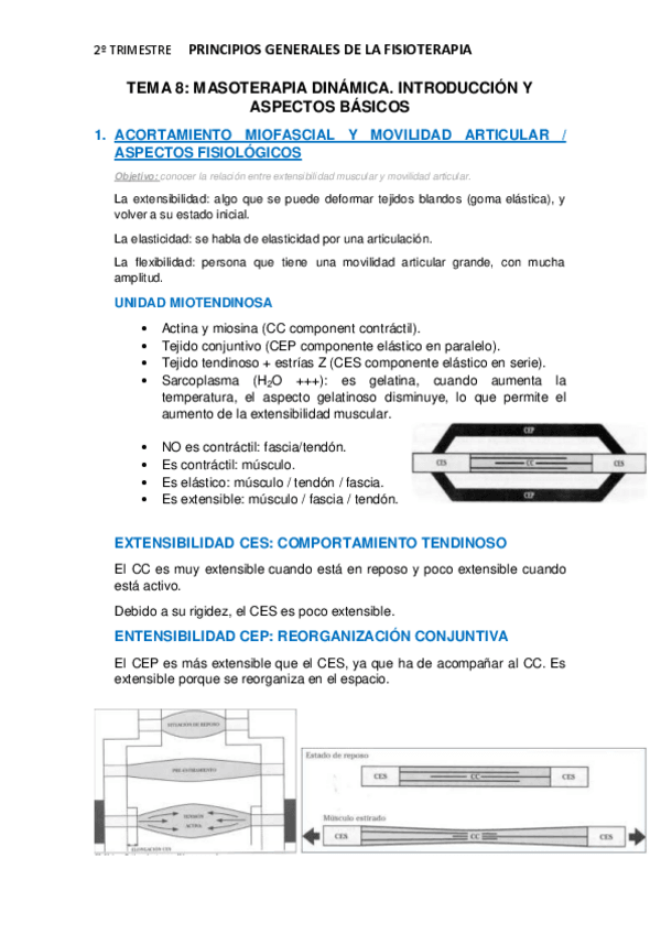 Miniatura del documento APUNTES-TEMA-8.pdf