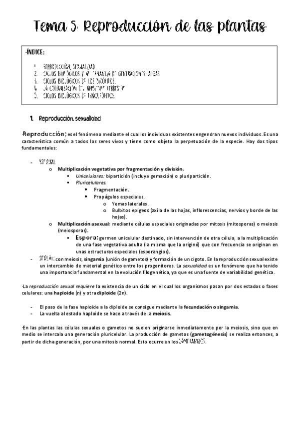 Miniatura del documento Tema-5-botanica.pdf