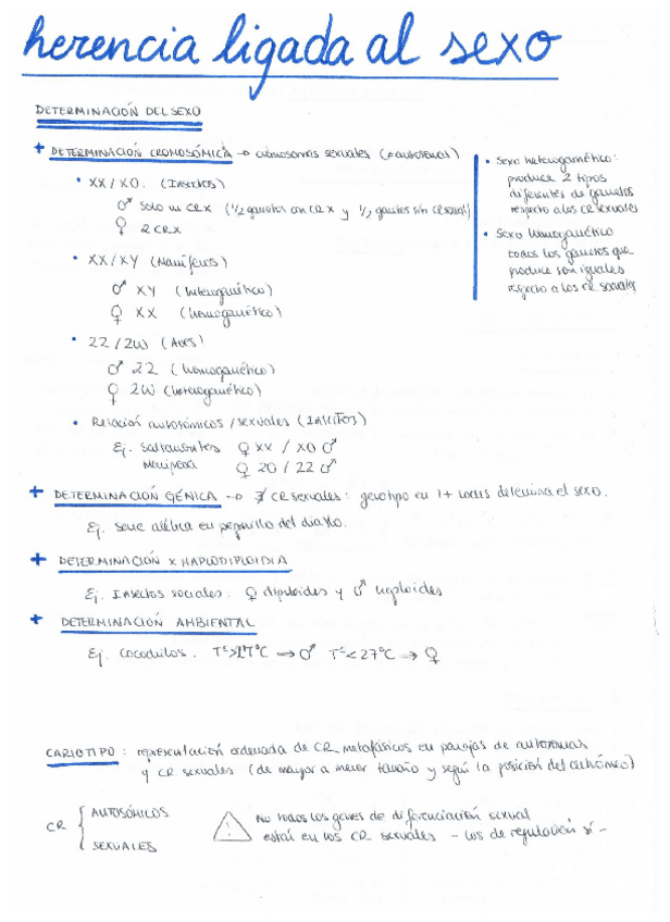 Miniatura del documento herencialigadaalsexo.pdf