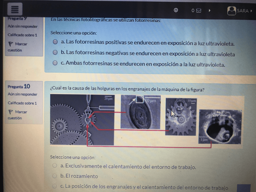 Miniatura del documento IMG_5470.JPG