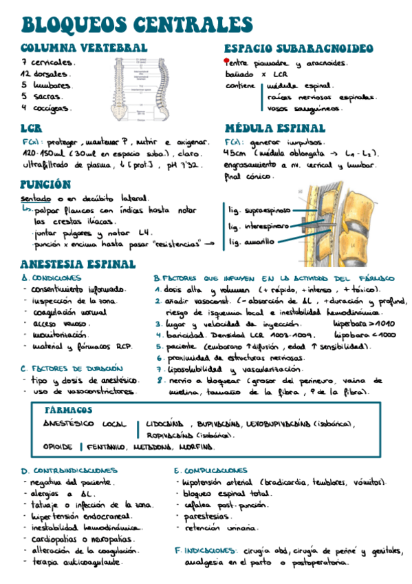 Miniatura del documento BLOQUEOS-CENTRALES-resum.pdf