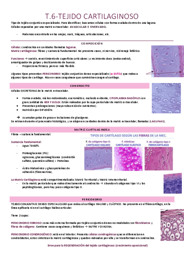 Miniatura del documento Tejido cartilaginoso