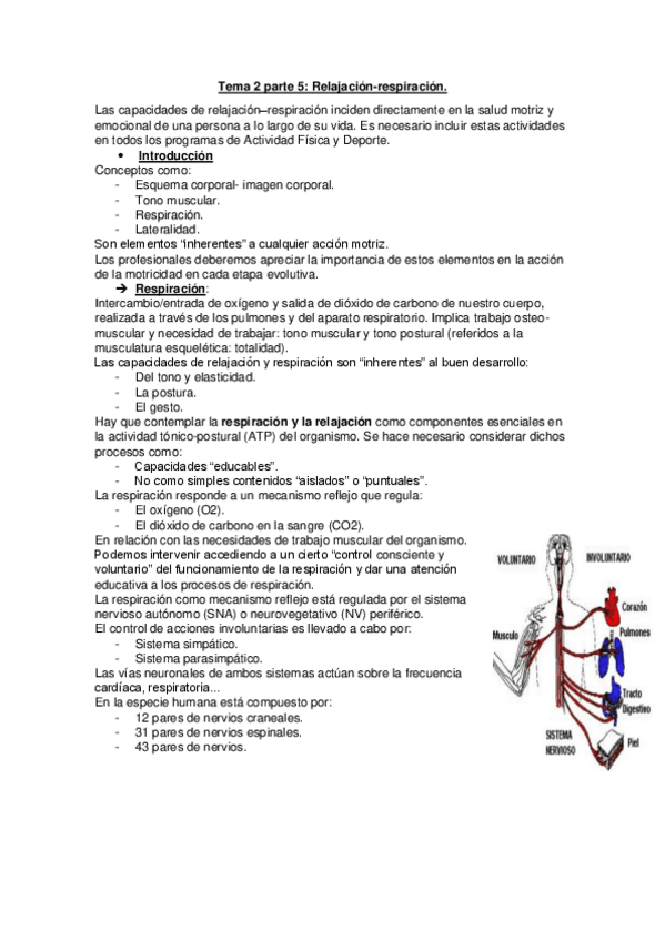 Miniatura del documento Tema-2-parte-5-Fundamentos-de-las-Habilidades-Motrices.pdf