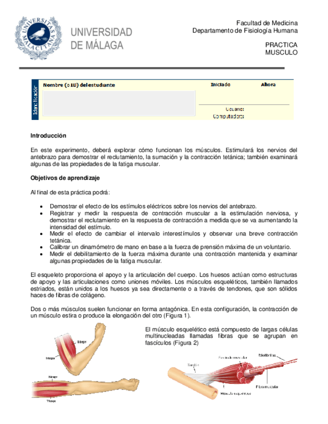 Miniatura del documento PRACTICA-4-VALORACION-DE-LA-ACTIVIDAD-MUSCULAR221116215049.pdf