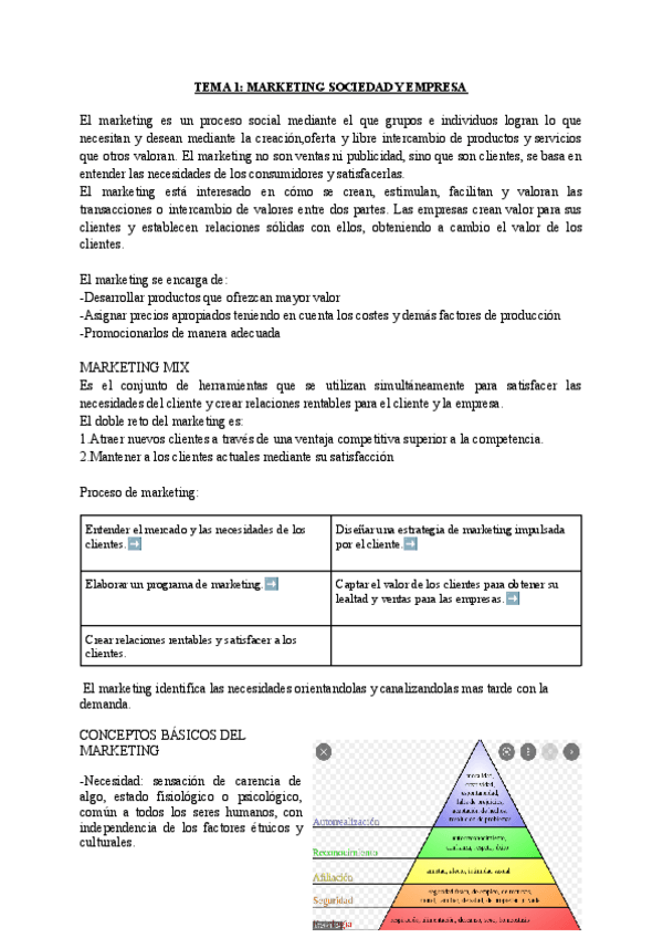 Miniatura del documento APUNTES-MARKETING.pdf