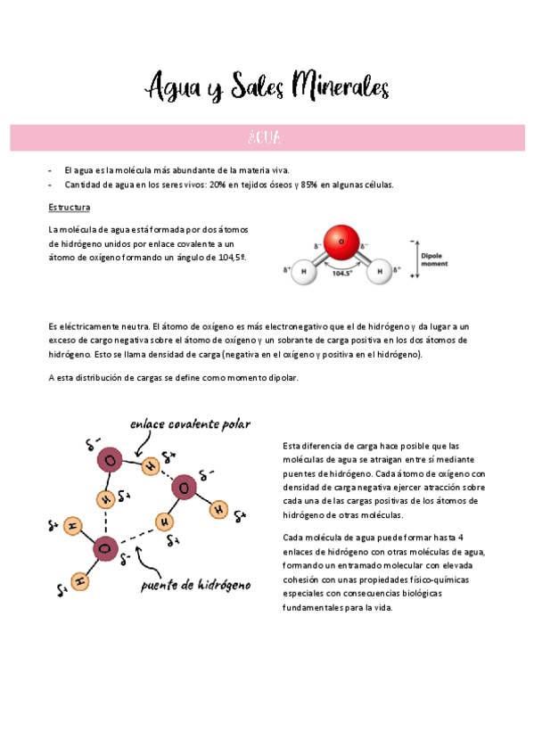 Miniatura del documento Tema 2-Agua y Sales Minerales.pdf