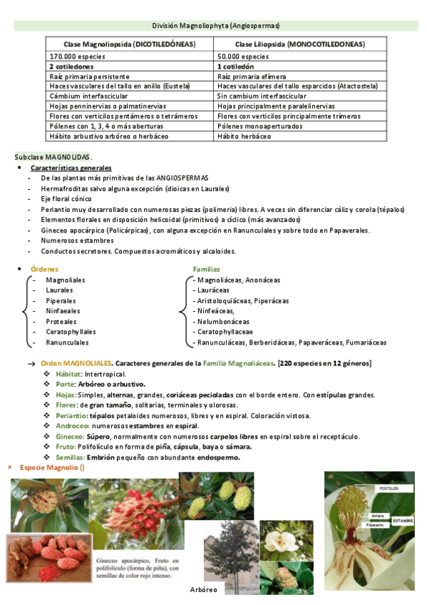 Miniatura del documento Tema-4.pdf