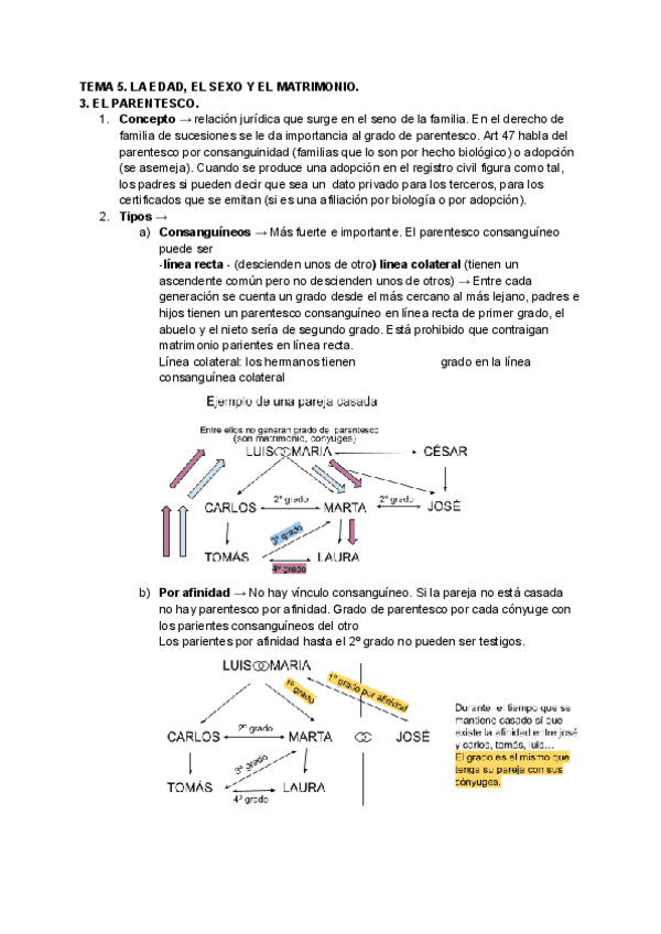 Miniatura del documento DERECHO CIVIL TEMA 5 - Gloria Díaz