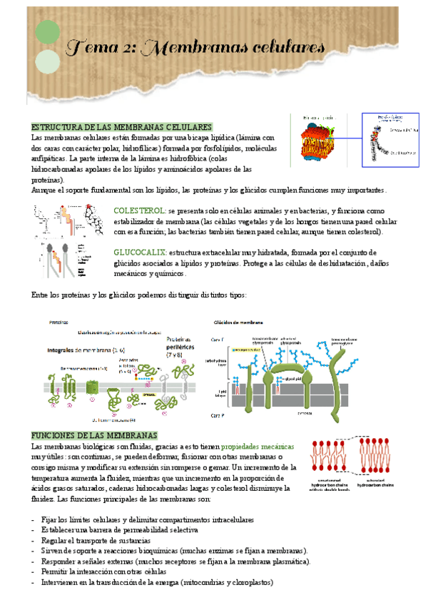 Miniatura del documento Tema-2.pdf