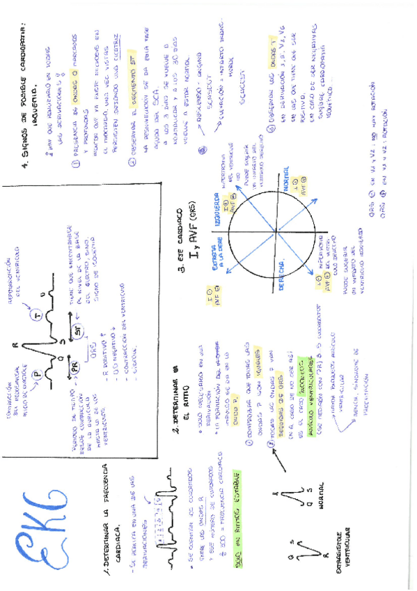 Miniatura del documento EKG.pdf
