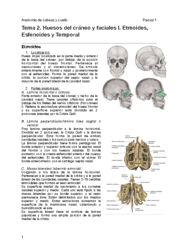 Miniatura del documento Tema-2-ACC.pdf