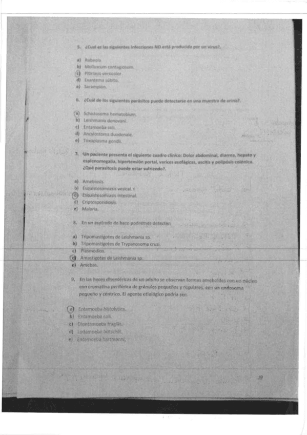 Miniatura del documento examen-luis-copia.pdf