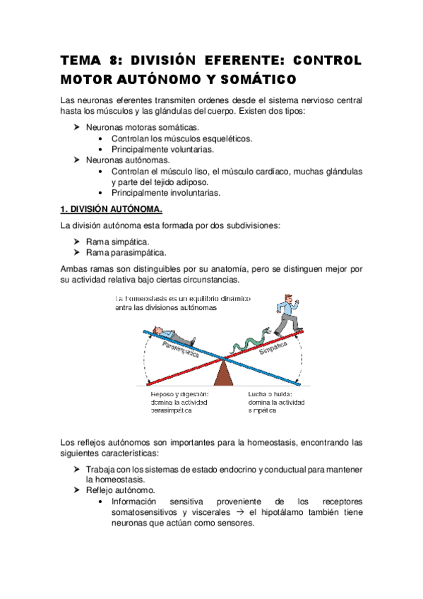 Miniatura del documento TEMA-8-DIVISION-EFERENTE-CONTROL-MOTOR-AUTONOMO-Y-SOMATICO.pdf