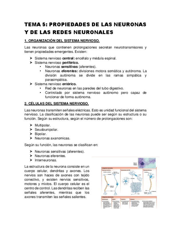 Miniatura del documento TEMA-5-PROPIEDADES-DE-LAS-NEURONAS-Y-DE-LAS-REDES-NEURONALES.pdf