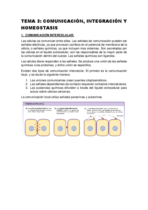 Miniatura del documento TEMA-3-COMUNICACION-INTEGRACION-Y-HOMEOSTASIS.pdf