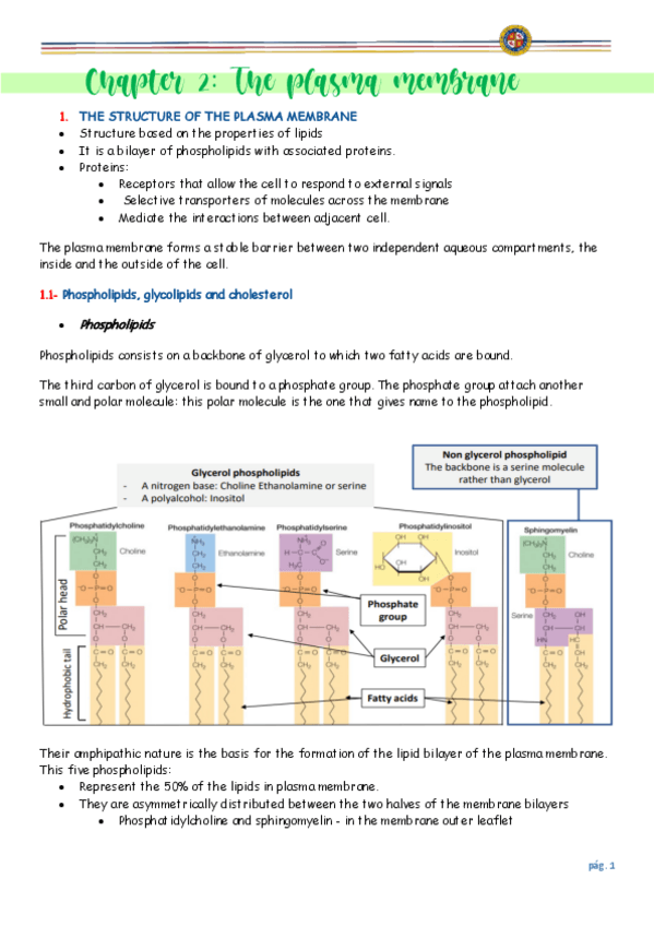 Miniatura del documento biology.pdf