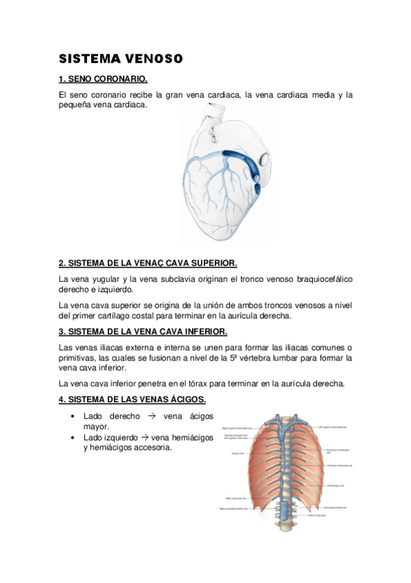 Miniatura del documento SISTEMA-VENOSO.pdf