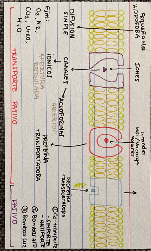 Miniatura del documento tema-5.pdf