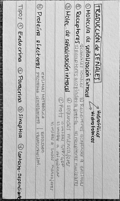 Miniatura del documento Tema-10.pdf