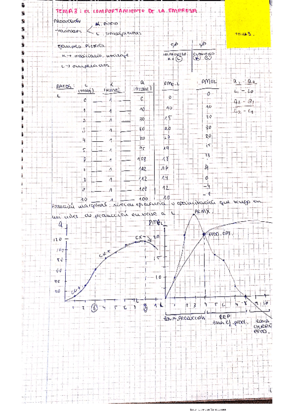 Miniatura del documento microteoriadelaempresa.pdf
