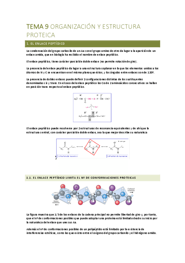 Miniatura del documento TEMA-9-BIOQUIMICA.pdf