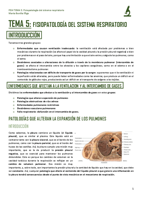 Miniatura del documento FISH-TEMA-5-FISIOPATOLOGIA-DEL-SISTEMA-RESPIRATORIO.pdf