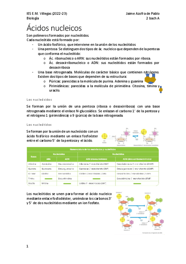 Miniatura del documento Acidos-nucleicos.pdf