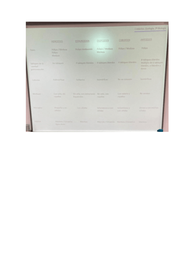 Miniatura del documento PRACTICA-2-CNIDARIOS.pdf