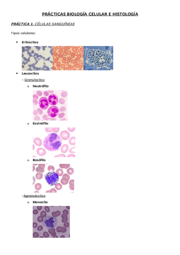 Miniatura del documento PRACTICAS-BIOLOGIA-CELULAR-E-HISTOLOGIA.pdf