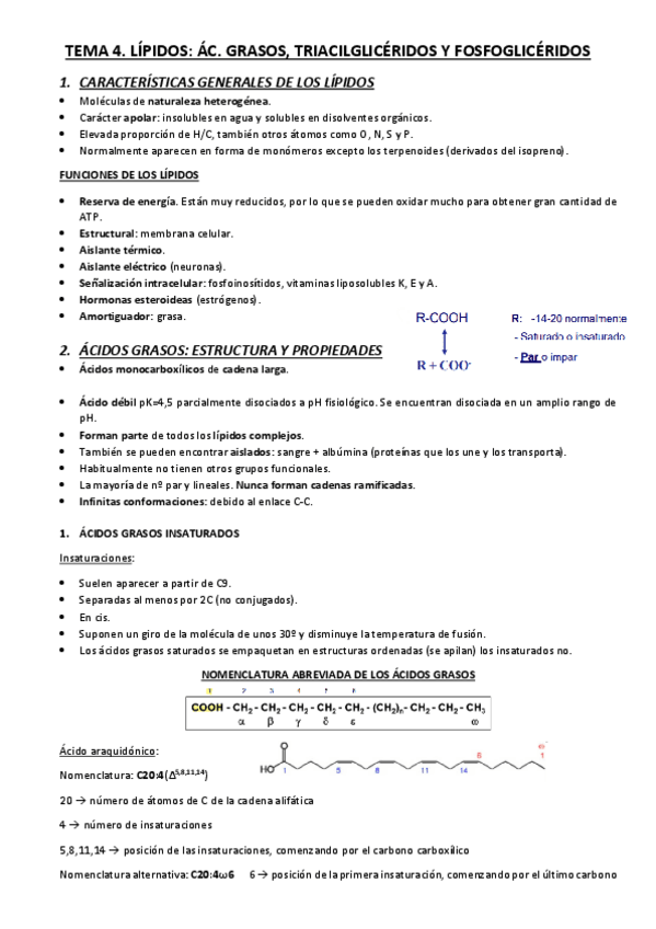 Miniatura del documento TEMA-4.pdf