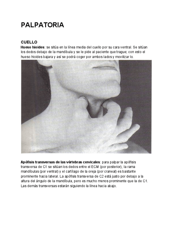 Miniatura del documento Palpatoria.pdf