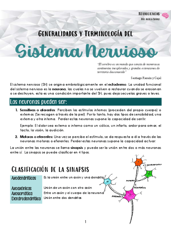 Miniatura del documento Generalidades-del-sistema-nervioso.pdf