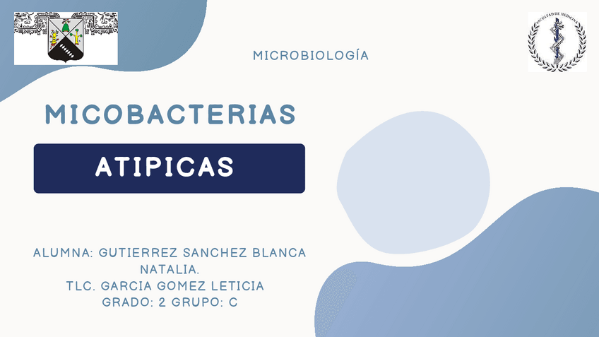 Miniatura del documento micobacterias-atipicas.pdf