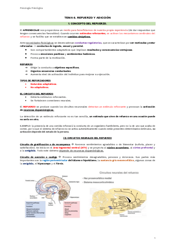 Miniatura del documento TEMA-6.pdf