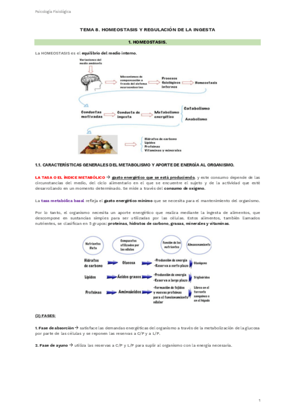 Miniatura del documento TEMA-8.pdf