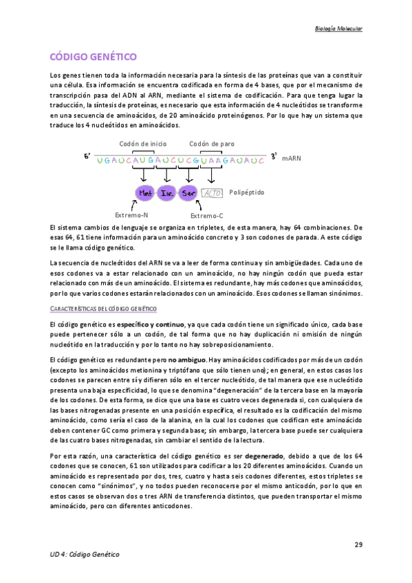 Miniatura del documento Tema-4.pdf