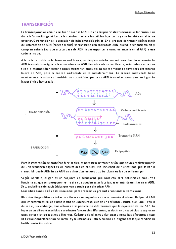 Miniatura del documento Tema-2.pdf